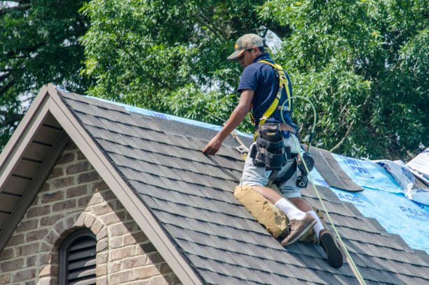 Best Roof Restoration Services  in Spotsylnia Courthouse, VA